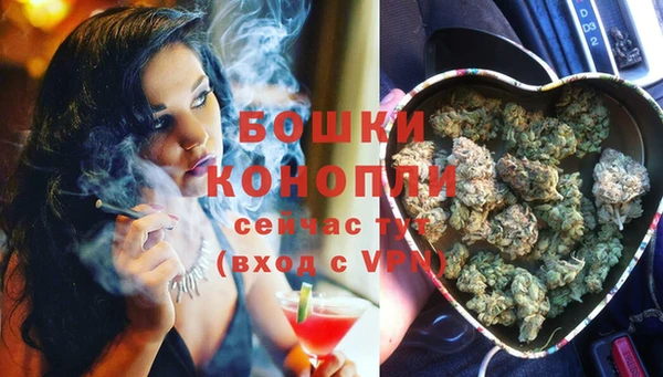 стафф Киреевск