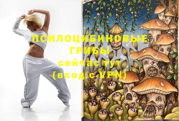 герыч Кинешма