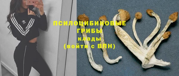 стафф Киреевск