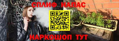 спайс Малгобек