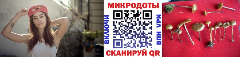 Псилоцибиновые грибы ЛСД  купить  сайты  мега ССЫЛКА  Ростов-на-Дону 