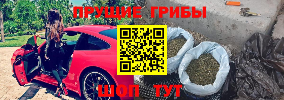 Ростов-на-Дону  Галлюциногенные грибы Cubensis  наркотики  Вход с VPN 